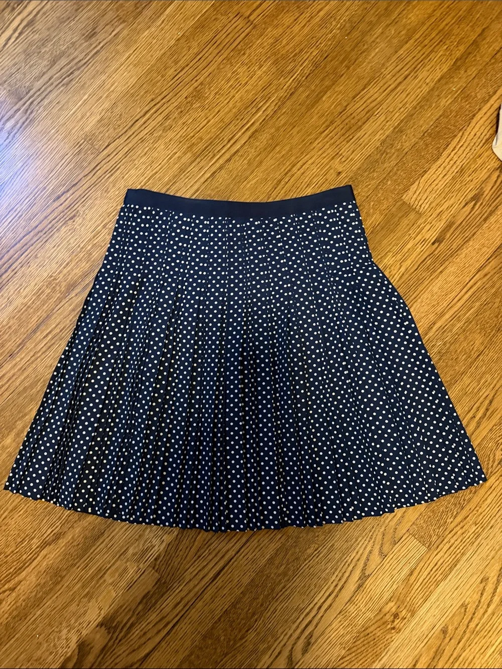 J. Crew Navy Blue Polka Dot Pleated Midi Skirt